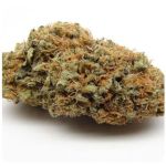 Шишки AK47 (Гидропоника, Бошка) VHQ в Бердске Шишки AK47 (Гидропоника, Бошка) VHQ в Бердске