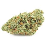 Шишки OG Kush (Гидропоника, бошки) VHQ в Бердске Шишки OG Kush (Гидропоника, бошки) VHQ в Бердске
